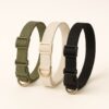 collier pour chien