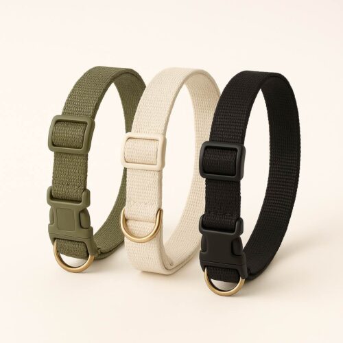 collier pour chien