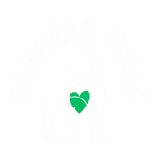 Planète Poils – Toiletteur canin lyonnais